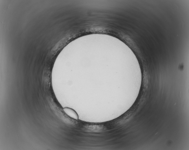 X0000116140449201001041036