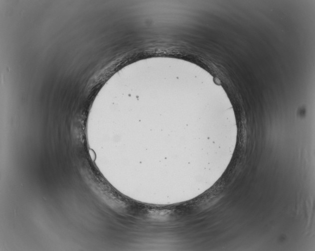 X0000116140450201001041036