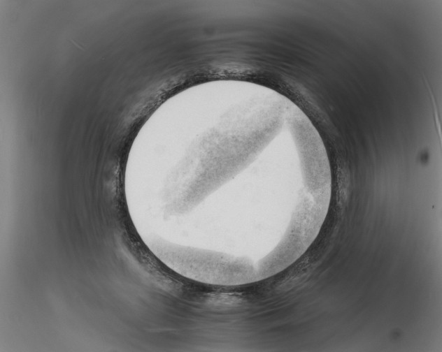 X0000116140451201001041036