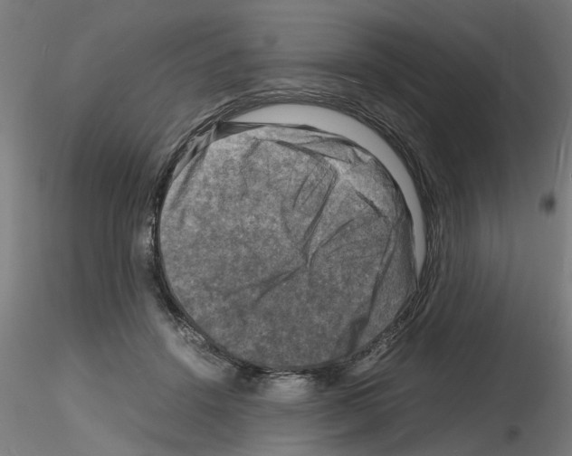 X0000116140456201001041036