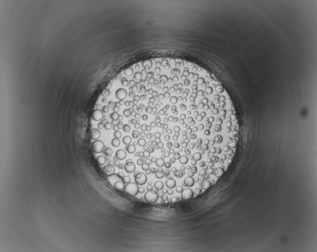 X0000116140458201001041036