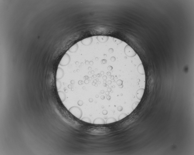 X0000116140459201001041036