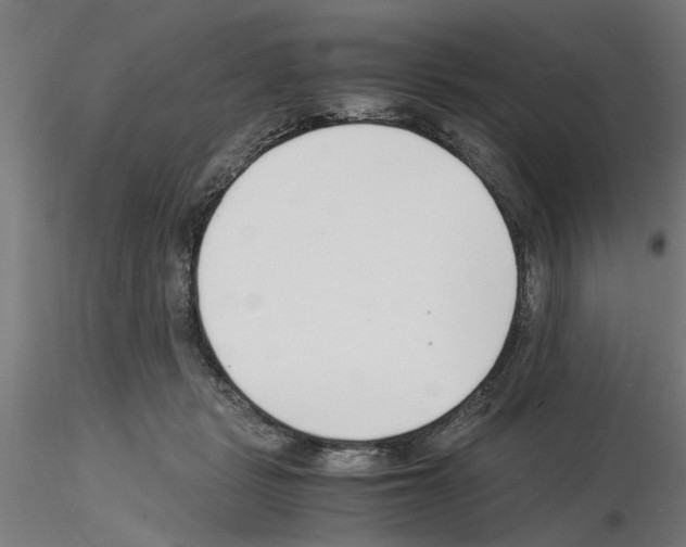 X0000116140461201001041036