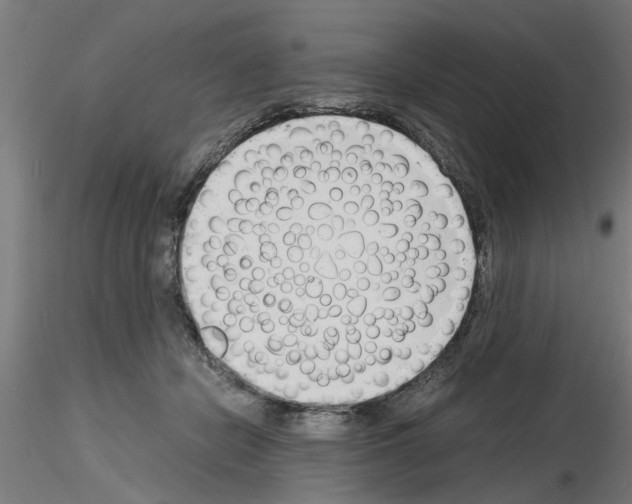 X0000116140462201001041036