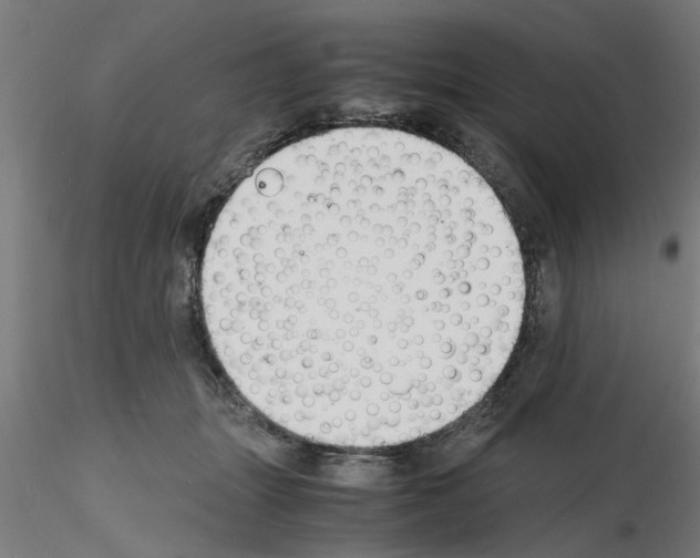 X0000116140463201001041036