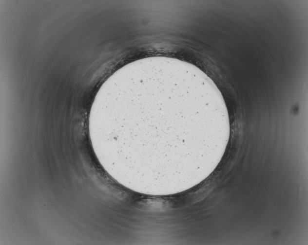 X0000116140464201001041036