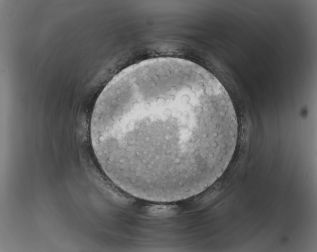 X0000116140465201001041036