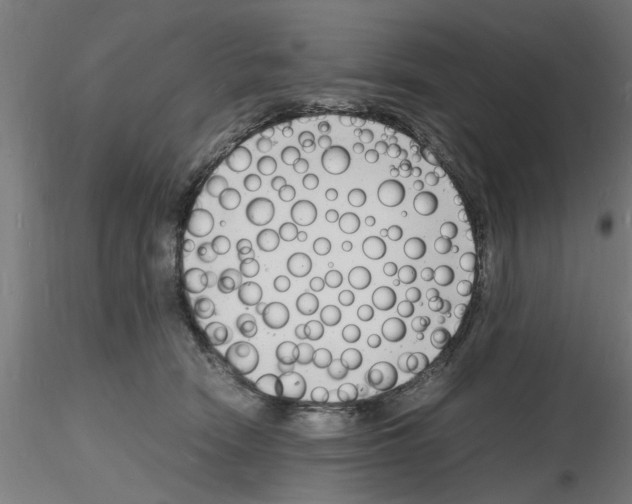 X0000116140466201001041036