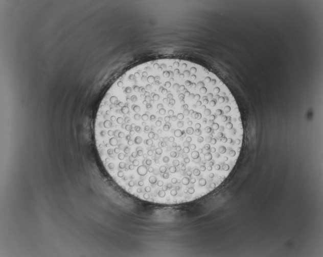 X0000116140470201001041036