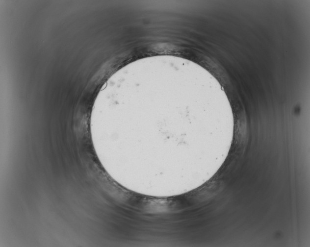 X0000116140473201001041036