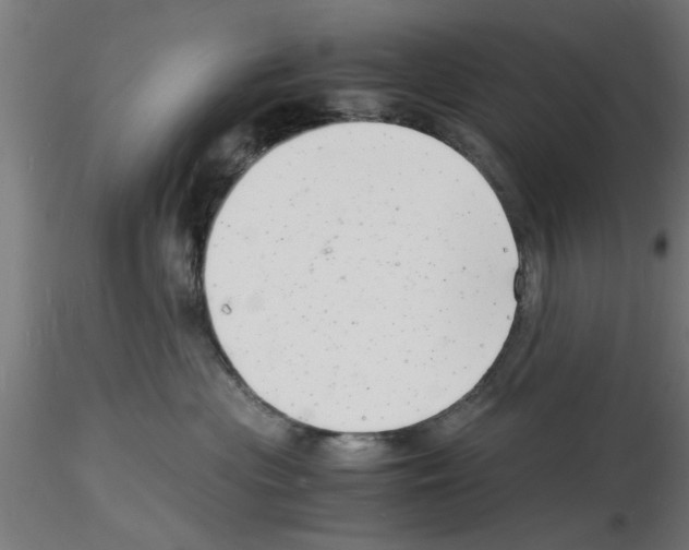 X0000116140477201001041036