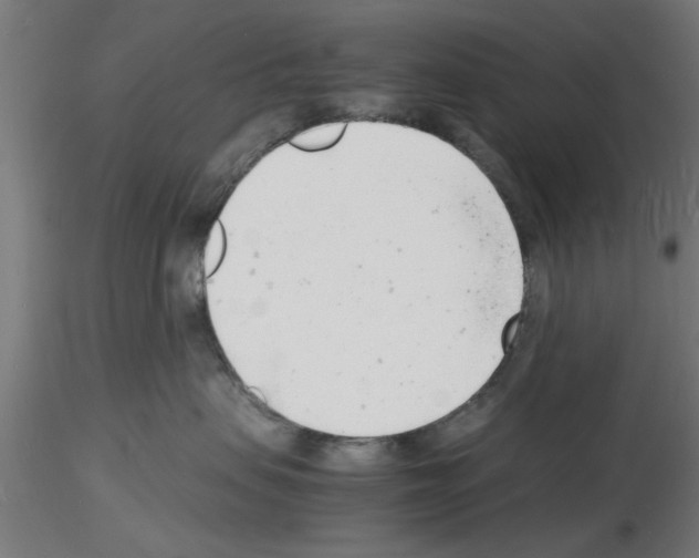 X0000116140479201001041036