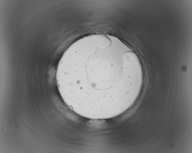 X0000116140480201001041036