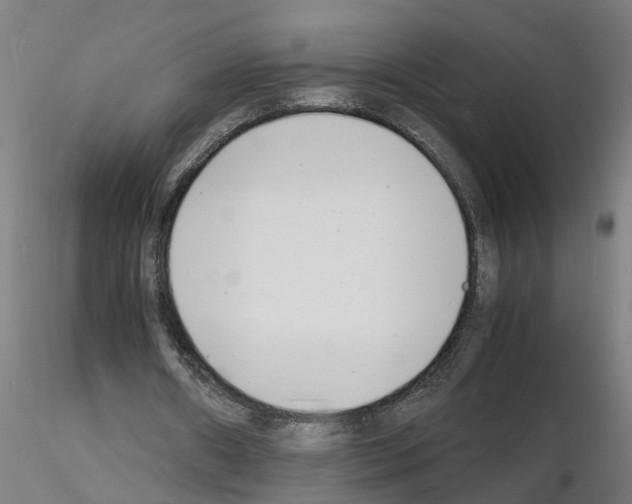 X0000116140482201001041035