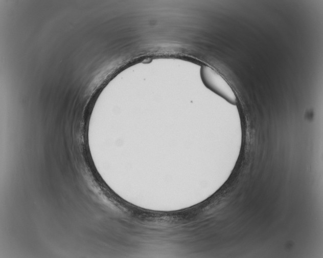 X0000116140485201001041035