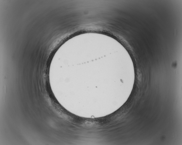 X0000116140487201001041035