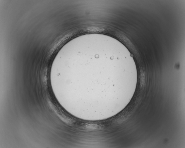 X0000116140490201001041035