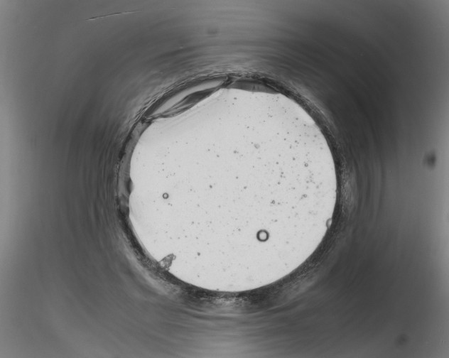 X0000116140493201001041035