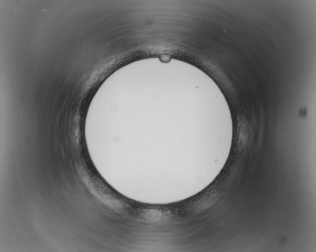 X0000116140494201001041035