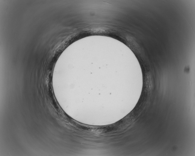 X0000116140495201001041035