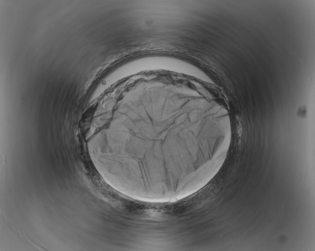 X0000116140496201001041035