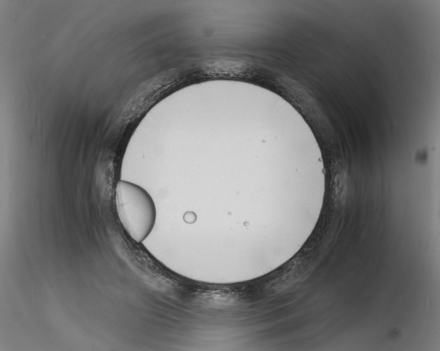 X0000116140498201001041035