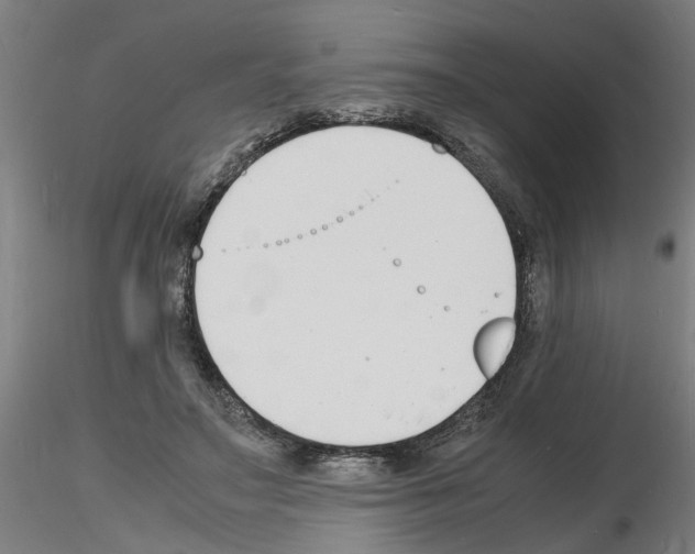 X0000116140499201001041035