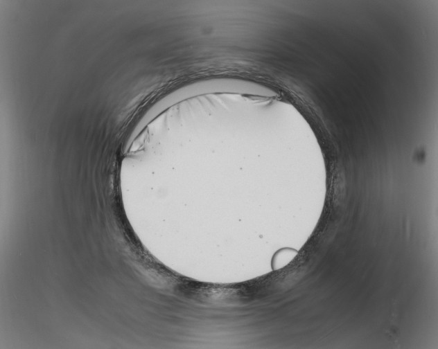 X0000116140501201001041035