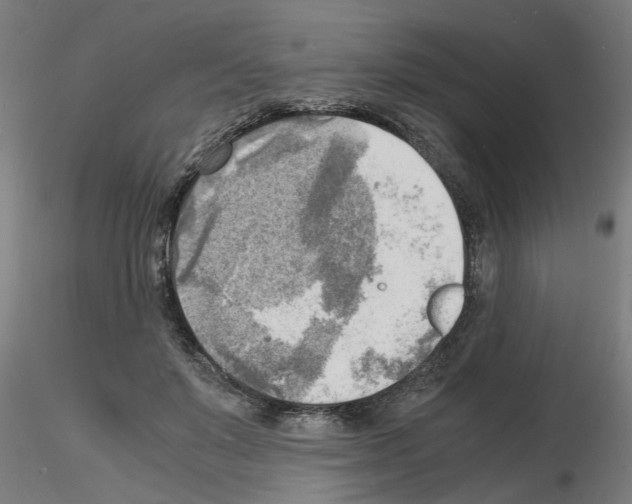 X0000116140503201001041035