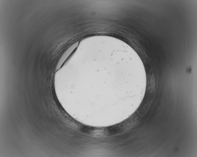 X0000116140505201001041035