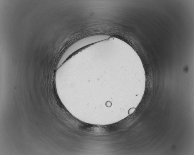 X0000116140509201001041035