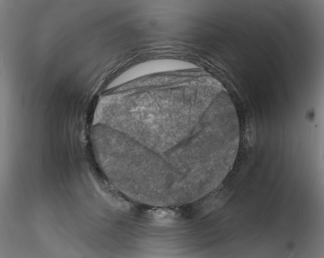 X0000116140512201001041035