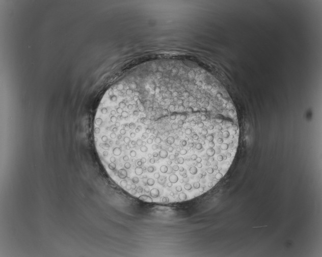 X0000116140519201001041035