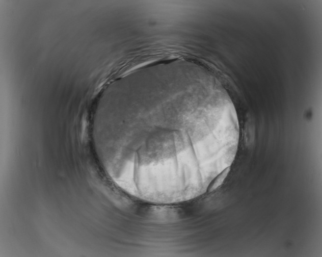 X0000116140520201001041035