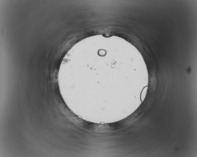 X0000116140525201001041035