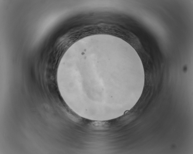 X0000116140526201001041035