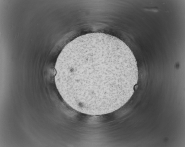 X0000116140527201001041035