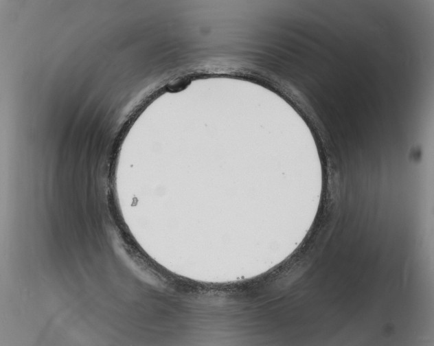 X0000116140530201001041034