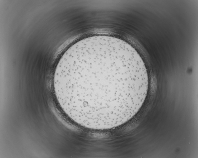 X0000116140533201001041034