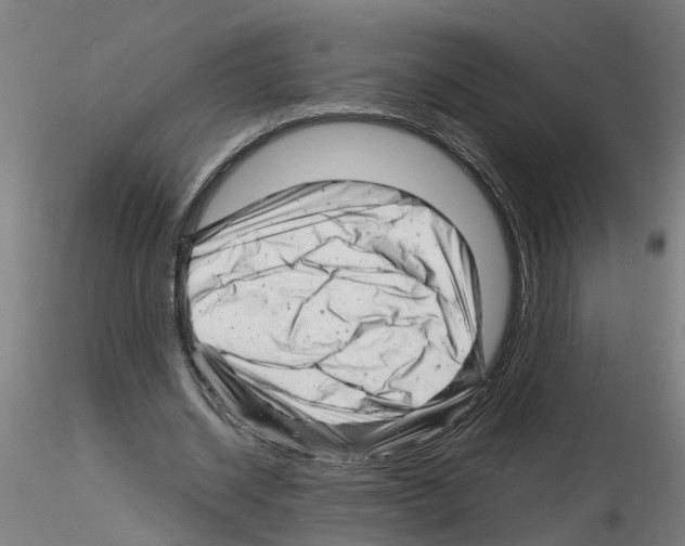 X0000116140534201001041034