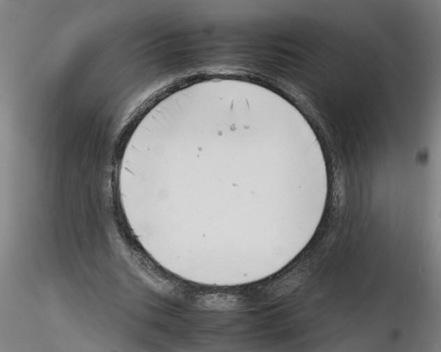 X0000116140535201001041034