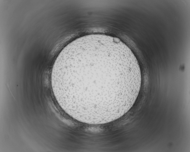 X0000116140537201001041034