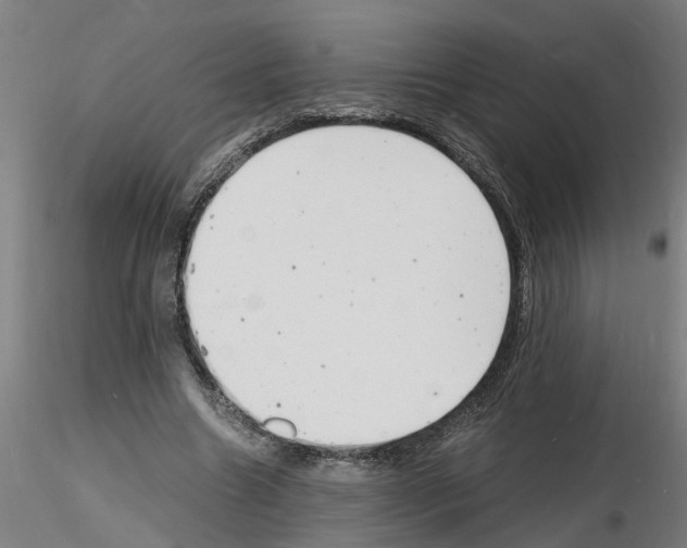 X0000116140538201001041034