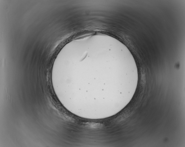 X0000116140539201001041034