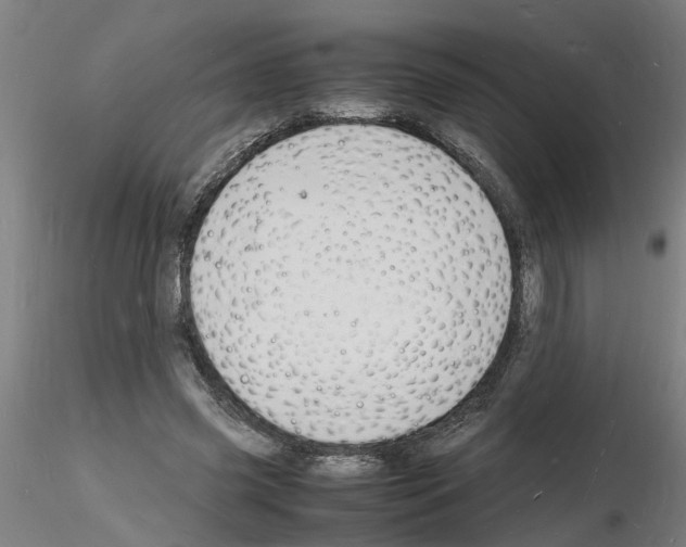 X0000116140541201001041034