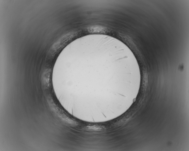 X0000116140545201001041034