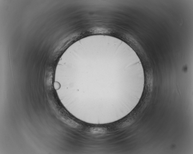 X0000116140549201001041034