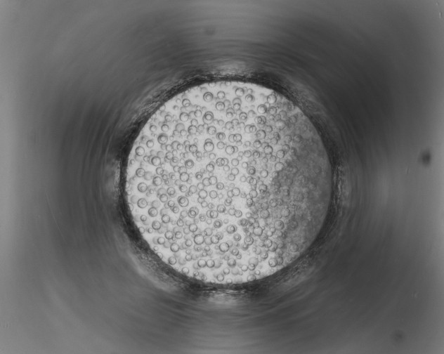 X0000116140550201001041034