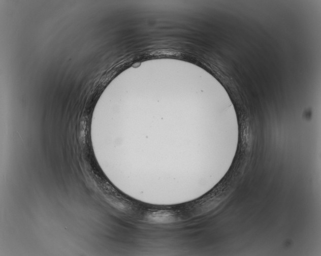 X0000116140551201001041034