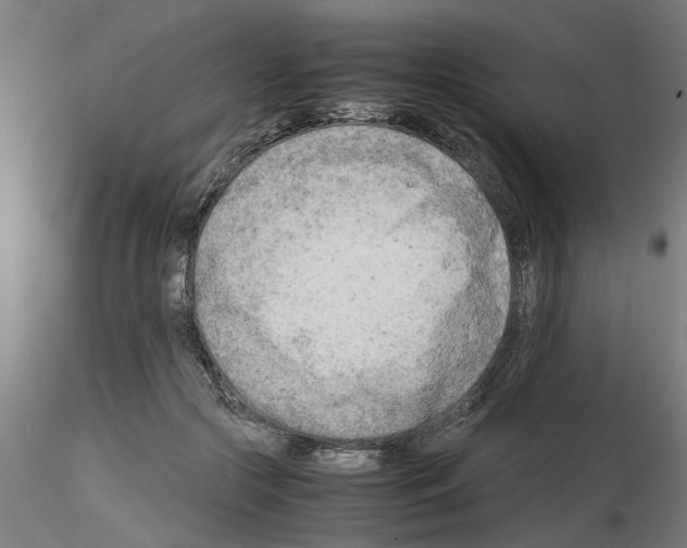 X0000116140553201001041034